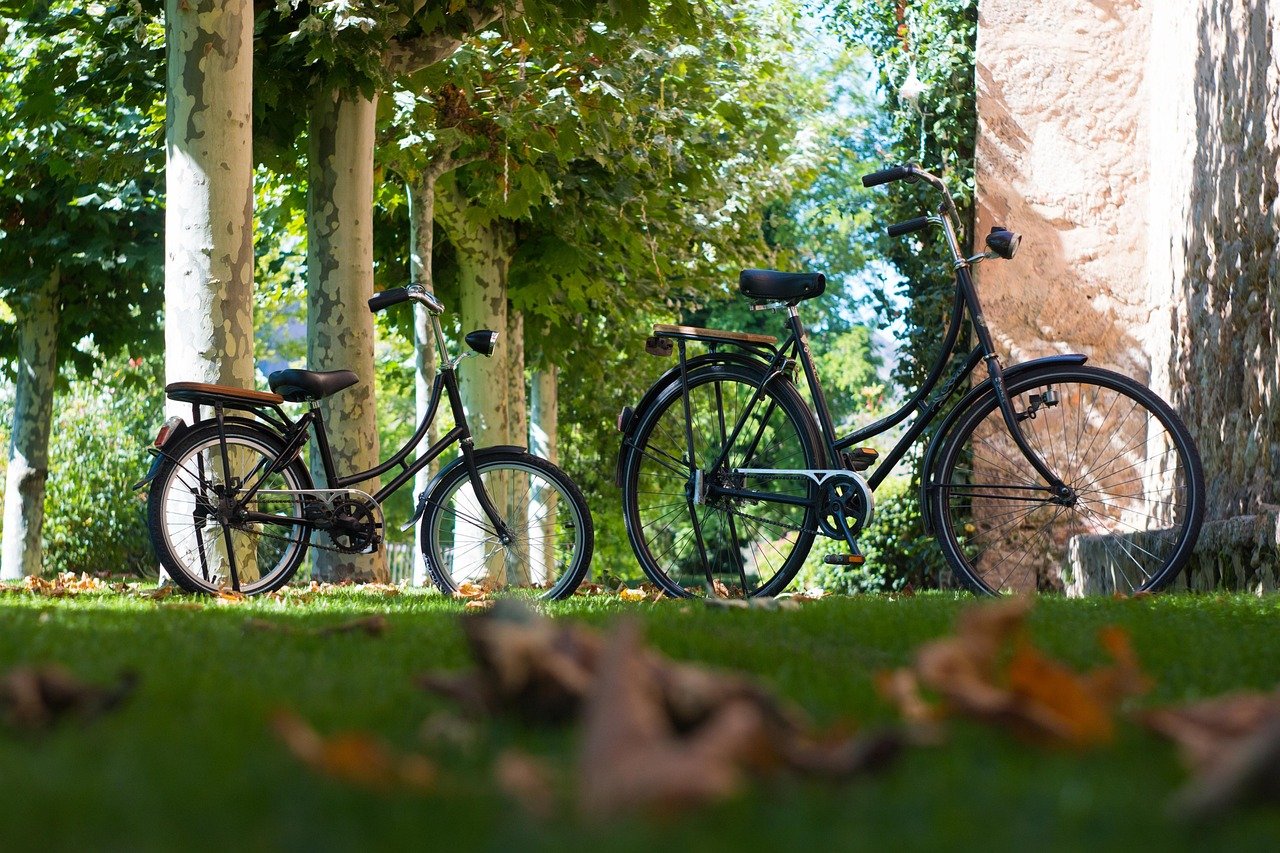 CADOR E-Bike – robuste Bauweise
